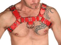 R&amp;Co H-Harness in Coloured Belt Leather