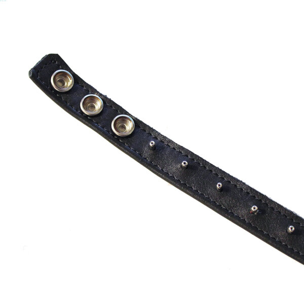 R&amp;Co 3-Snap Leather Cockstrap Dull Pins