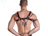 R&amp;Co H-Harness in Soft Leather Black + Piping Red L