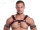 R&Co H-Harness in Soft Leather Black + Piping Red L