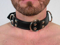 R&amp;Co Slave Collar with 4 D-Rings 3cm wide long Version