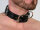 R&amp;Co Lockable Slave Collar with D Rings